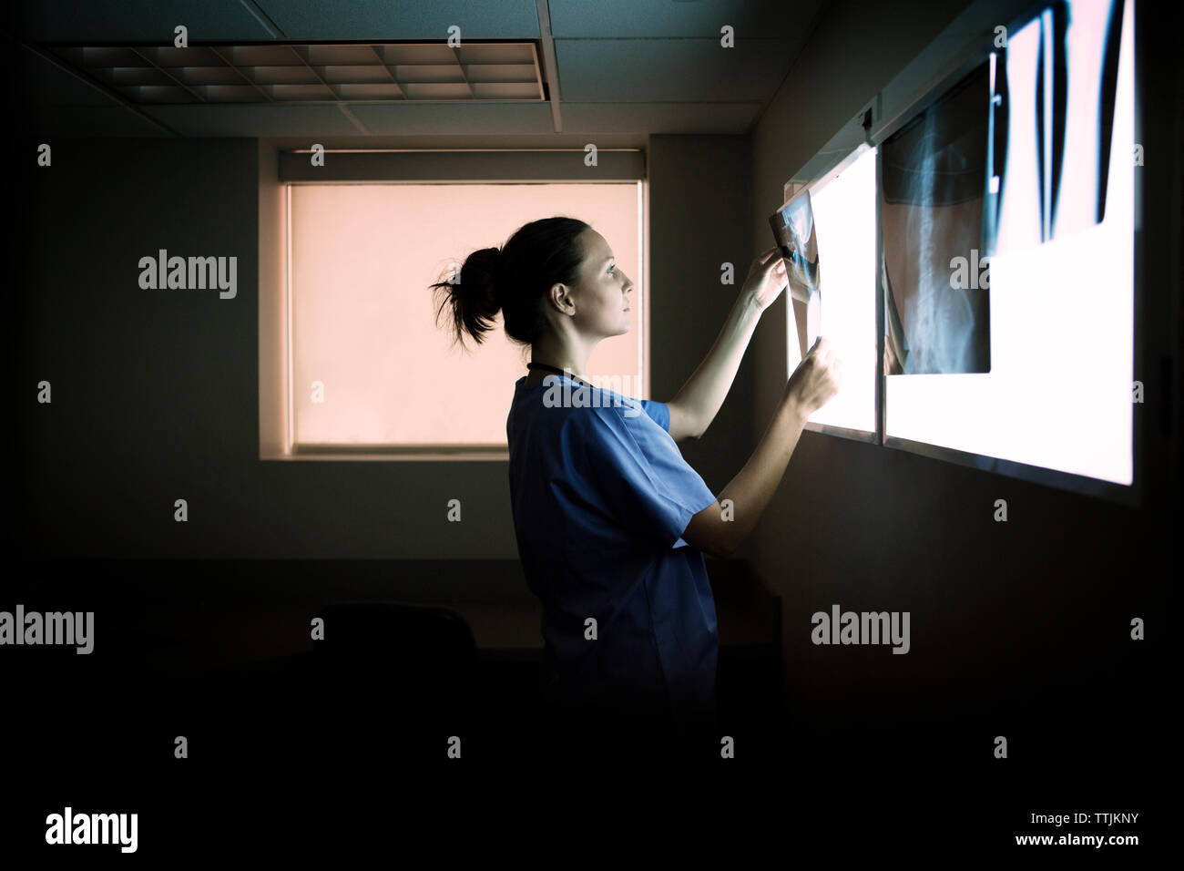 Seitenansicht des Arzt Untersuchung Röntgenstrahlen auf medizinische Diagnose Tool im Krankenhaus Stockfoto