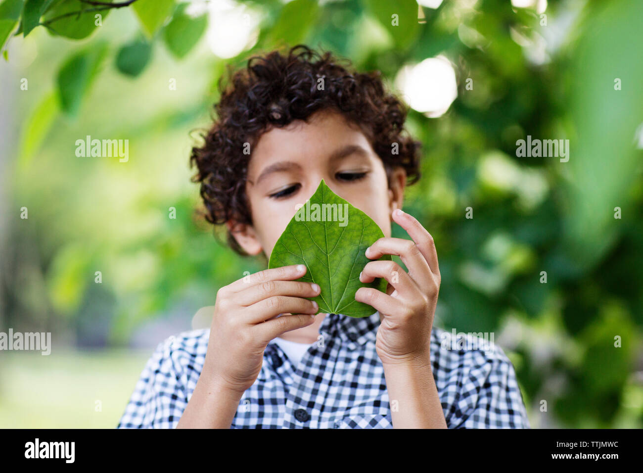 Junge holding Blatt beim Stehen in Park Stockfoto