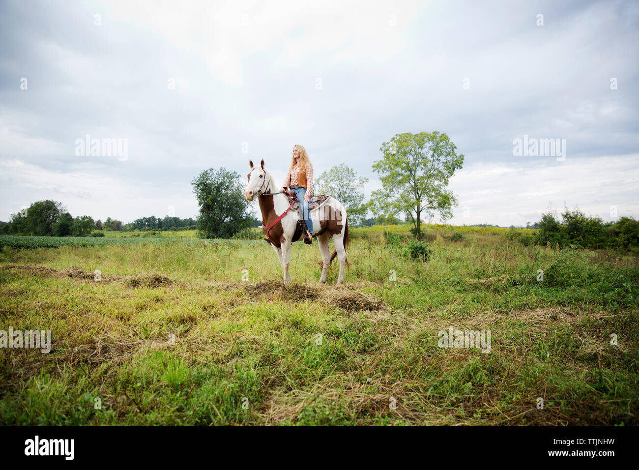 Frau weg, beim Sitzen auf dem Pferd gegen Sky Stockfoto