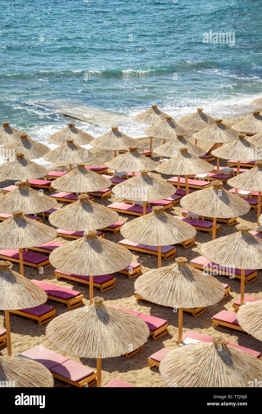 Viele Schilf Stroh Sonnenschirme mit Liegen auf einem schönen Sandstrand an der Adria Küste, eine Antenne top Aussicht am Strand an einem sonnigen Tag Stockfoto