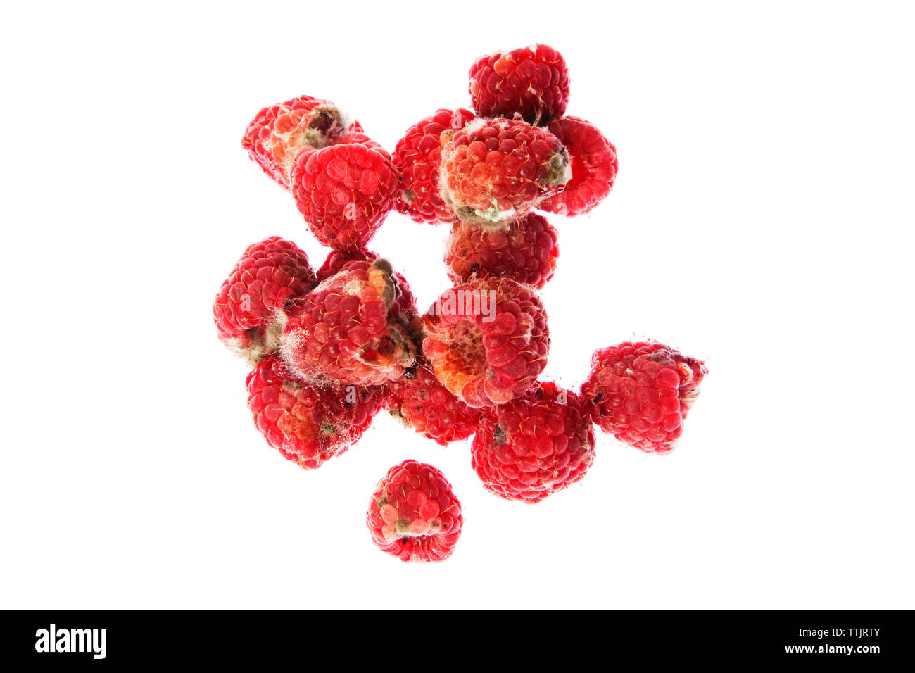 Ansicht von oben der faulen Himbeeren auf weißem Hintergrund Stockfoto