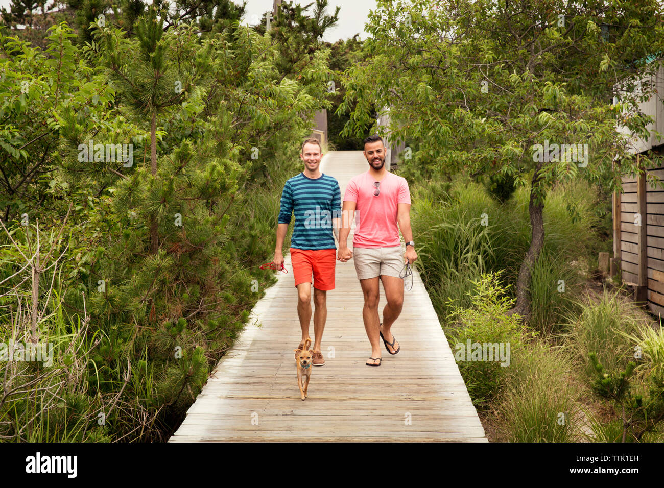 Volle Länge des homosexuellen Paar mit Chihuahua auf der Promenade inmitten von Bäumen Stockfoto