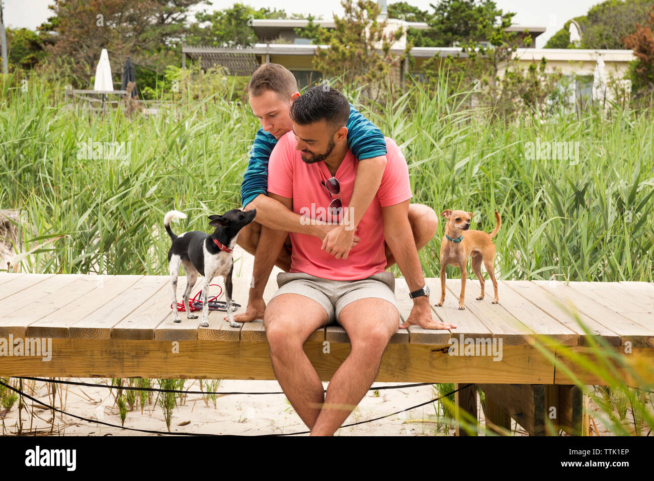 Gay Mann umfassenden Partner beim Sitzen mit Chihuahuas am Boardwalk Stockfoto