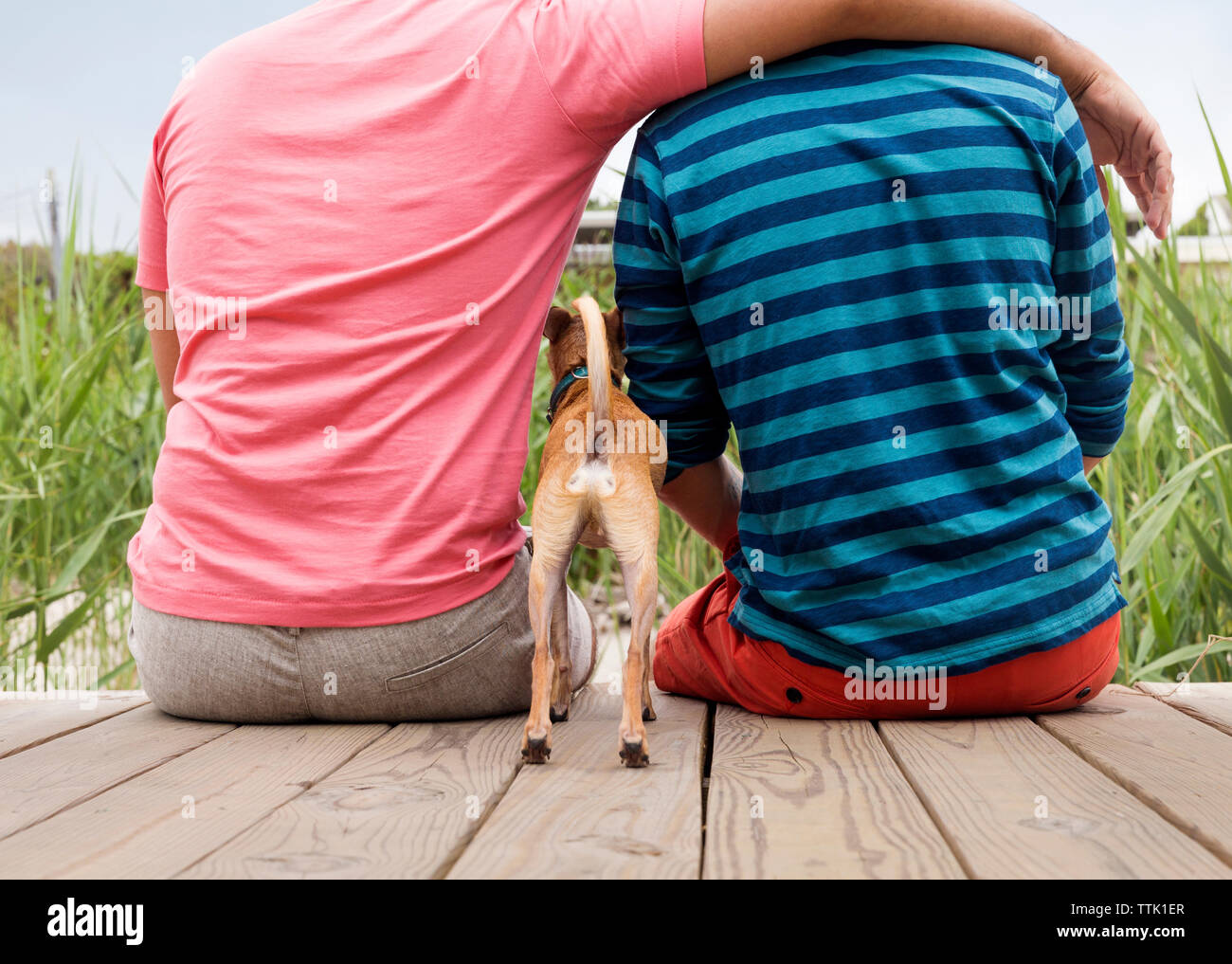 Ansicht der Rückseite des homosexuelle Paare sitzen mit Chihuahua am Boardwalk Stockfoto