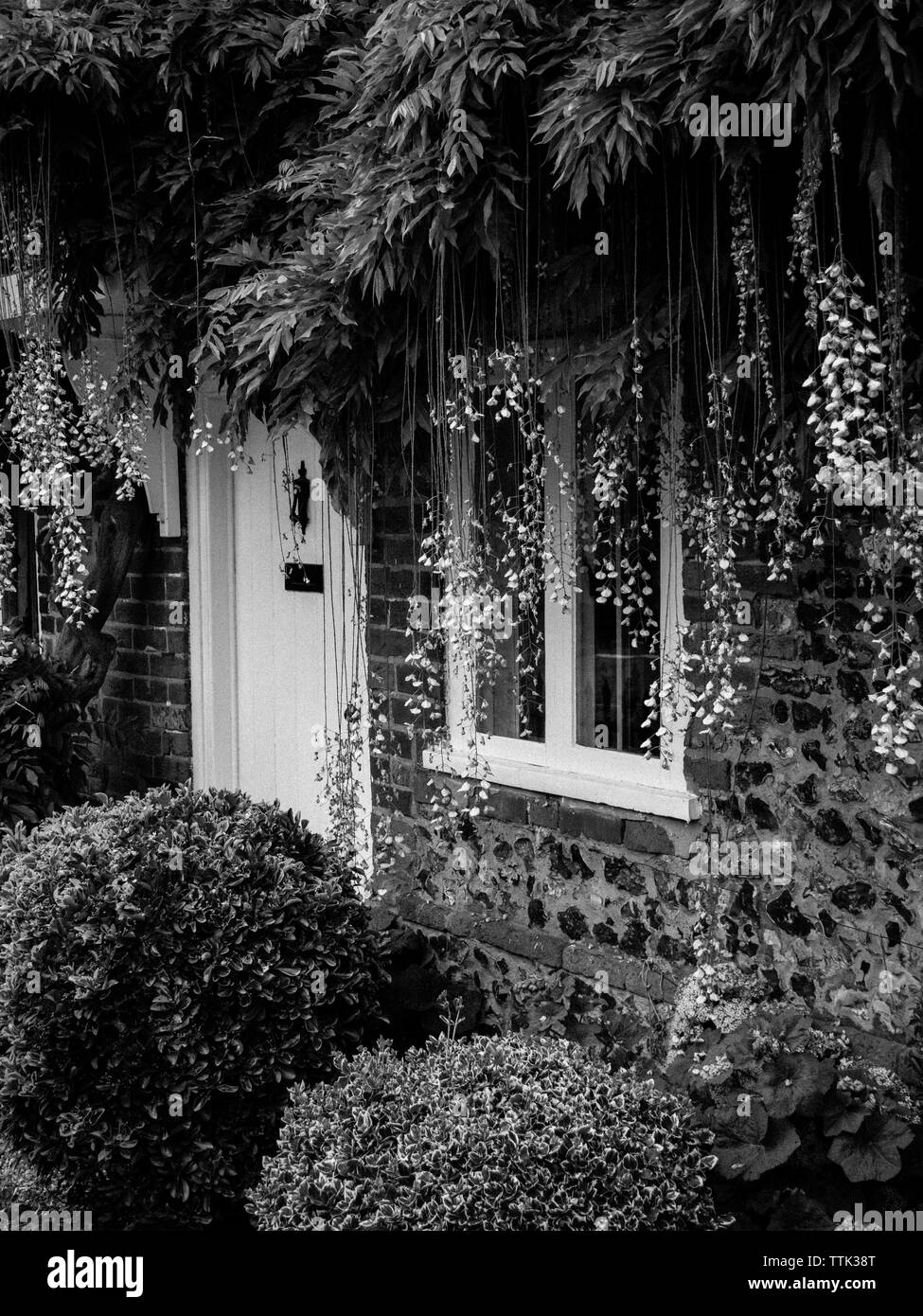 Cottage mit Blumen, Goring-on-Thames, Oxfordshire, England, UK, GB. Stockfoto