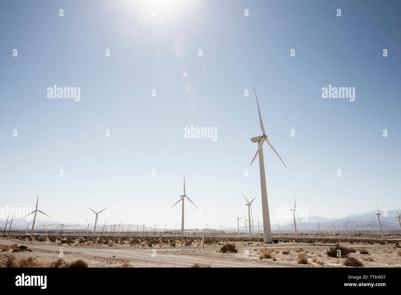 Windmühlen auf gegen den klaren Himmel an einem sonnigen Tag Stockfoto