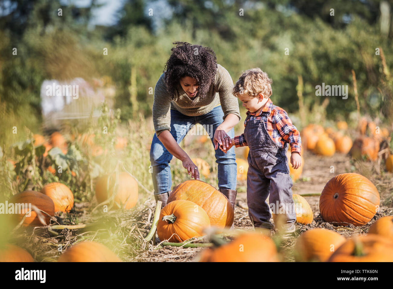 Mutter und Sohn Prüfung Kürbis auf dem Feld Stockfoto