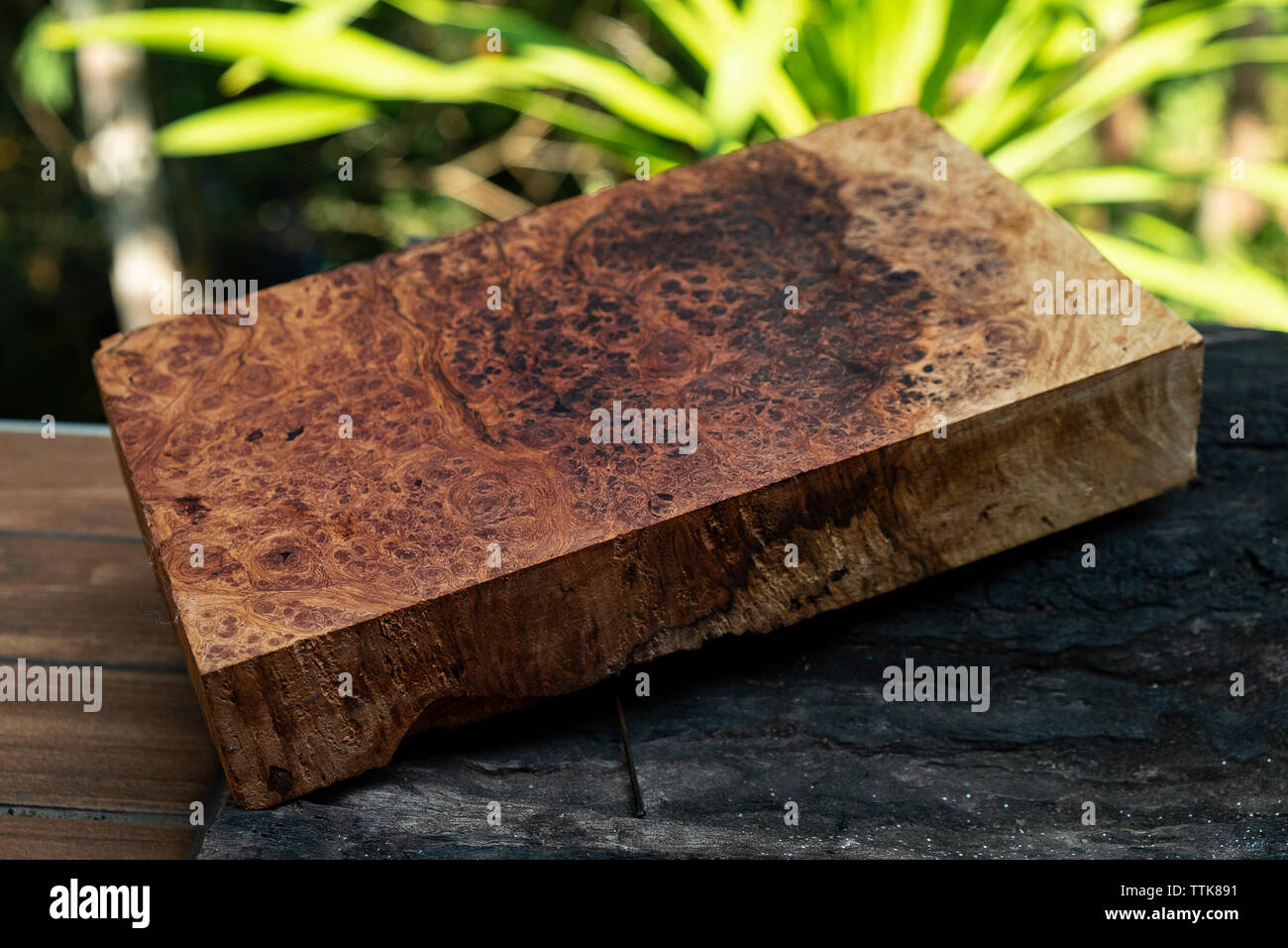 Afzelia Wurzelholz gestreifte für Bild druckt Innenausstattung Auto, exotische Holz- schöne Muster für das Handwerk oder abstrakte Kunst Hintergrund Stockfoto