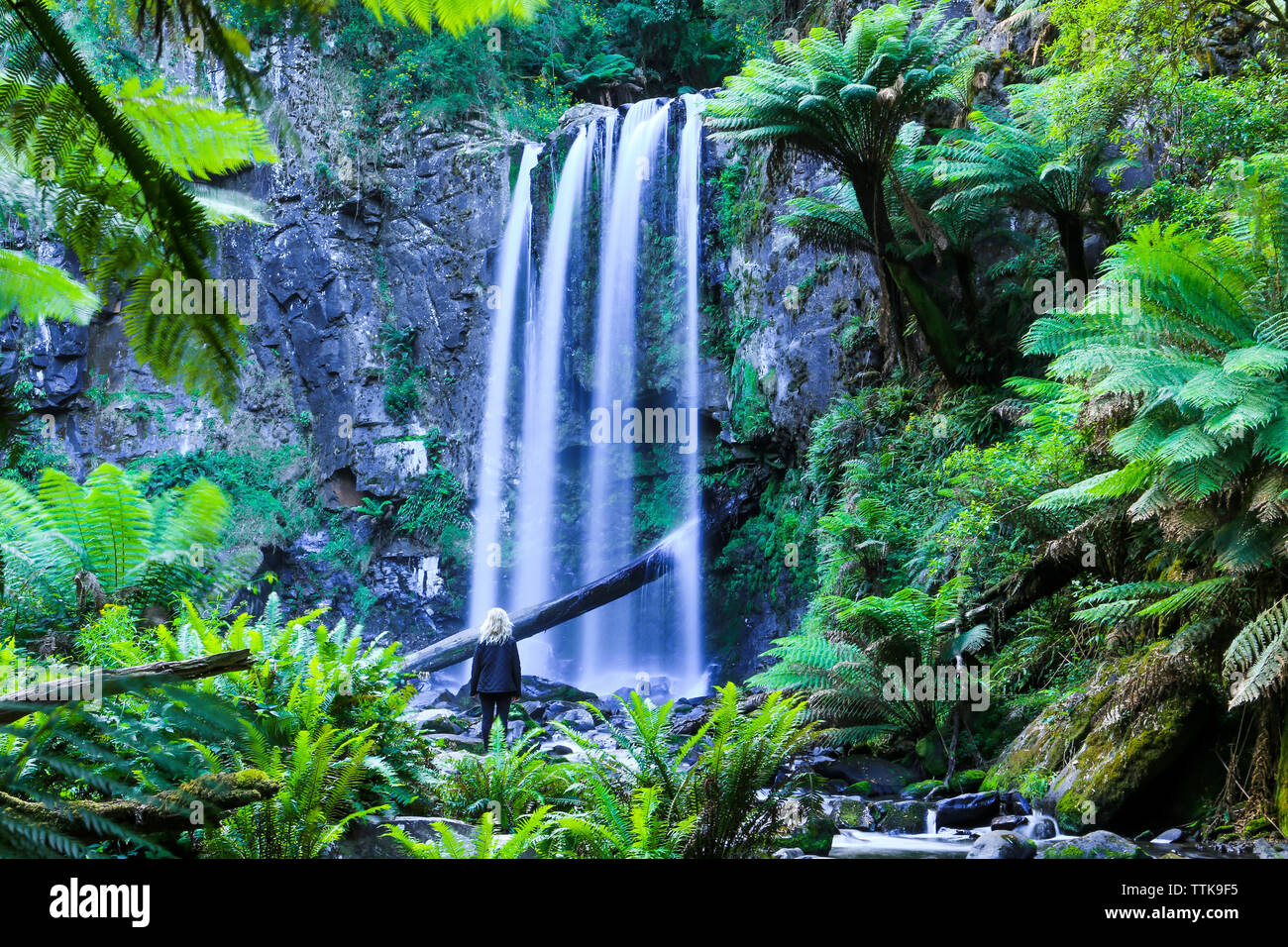 Ansicht der Rückseite Frau suchen am Wasserfall beim Stehen mitten im Wald Stockfoto