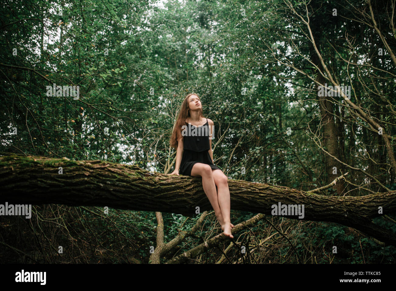 Das Mädchen im Wald sitzt auf einem gefallenen Baum baumelnden Beinen Stockfoto