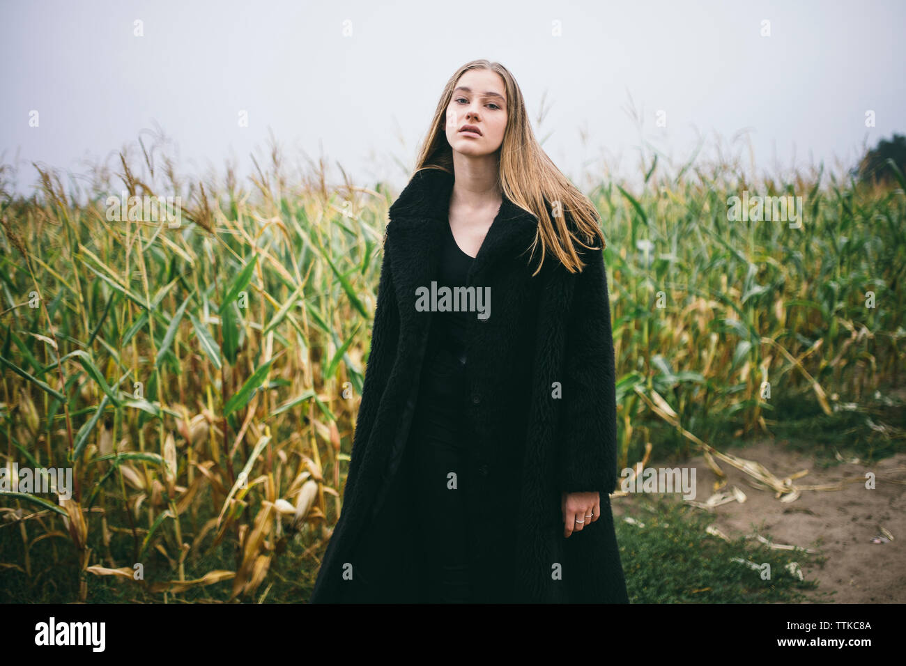 Frau steht in einem Maisfeld bei bewölktem Himmel Stockfoto
