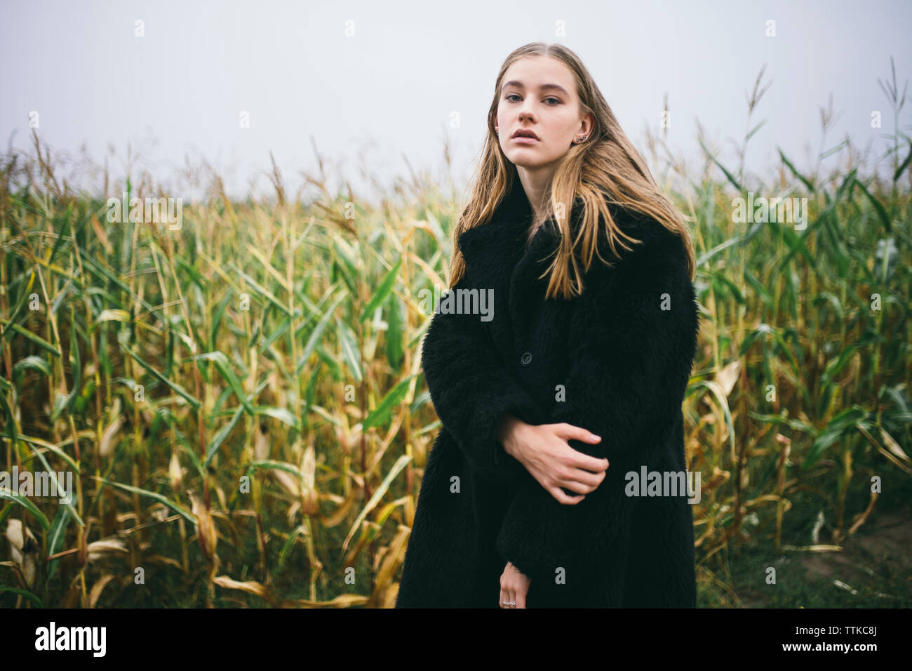 Frau steht in einem Maisfeld bei bewölktem Himmel Stockfoto