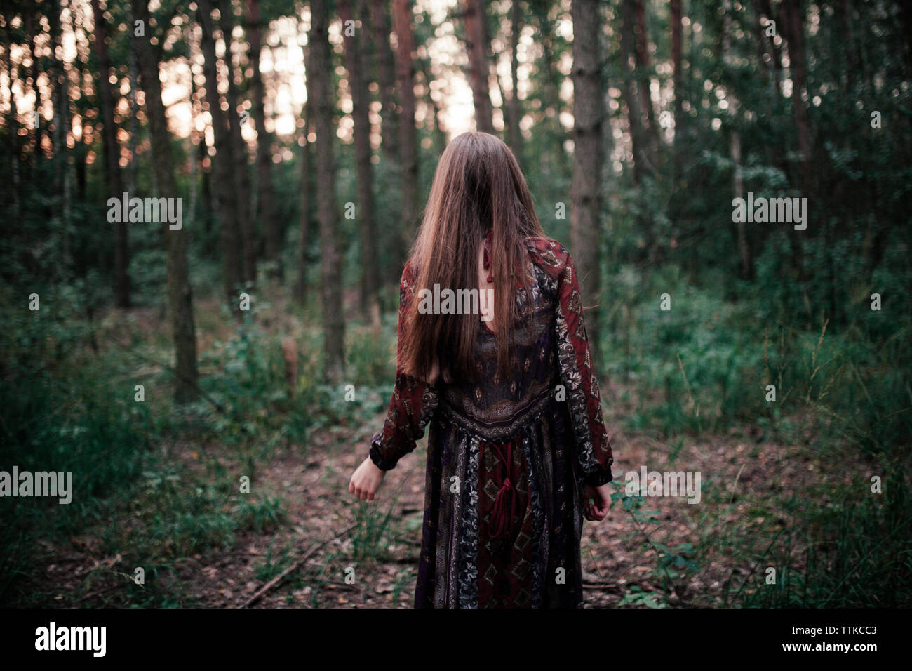 Frau zu Fuß in den Wäldern Stockfoto