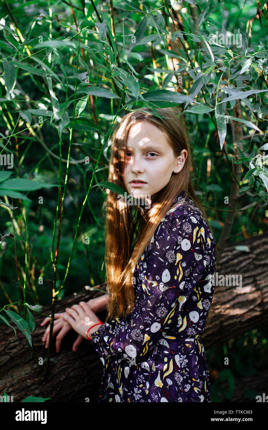 Frau, die in der Nähe von einem Baum im Wald Stockfoto