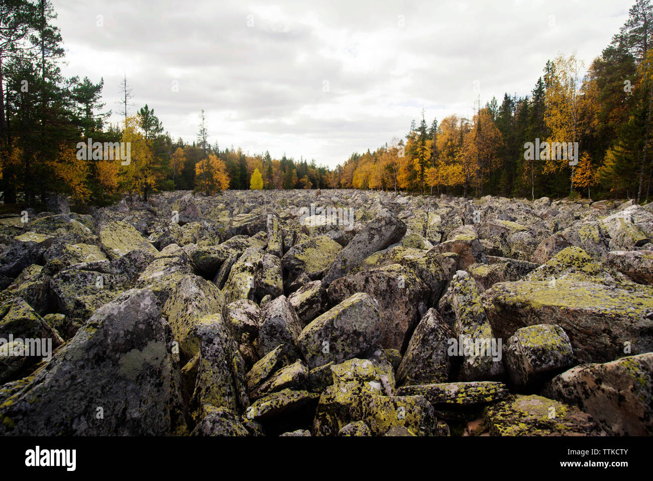Felsen auf dem Feld von Bäumen gegen bewölkter Himmel im Herbst Stockfoto
