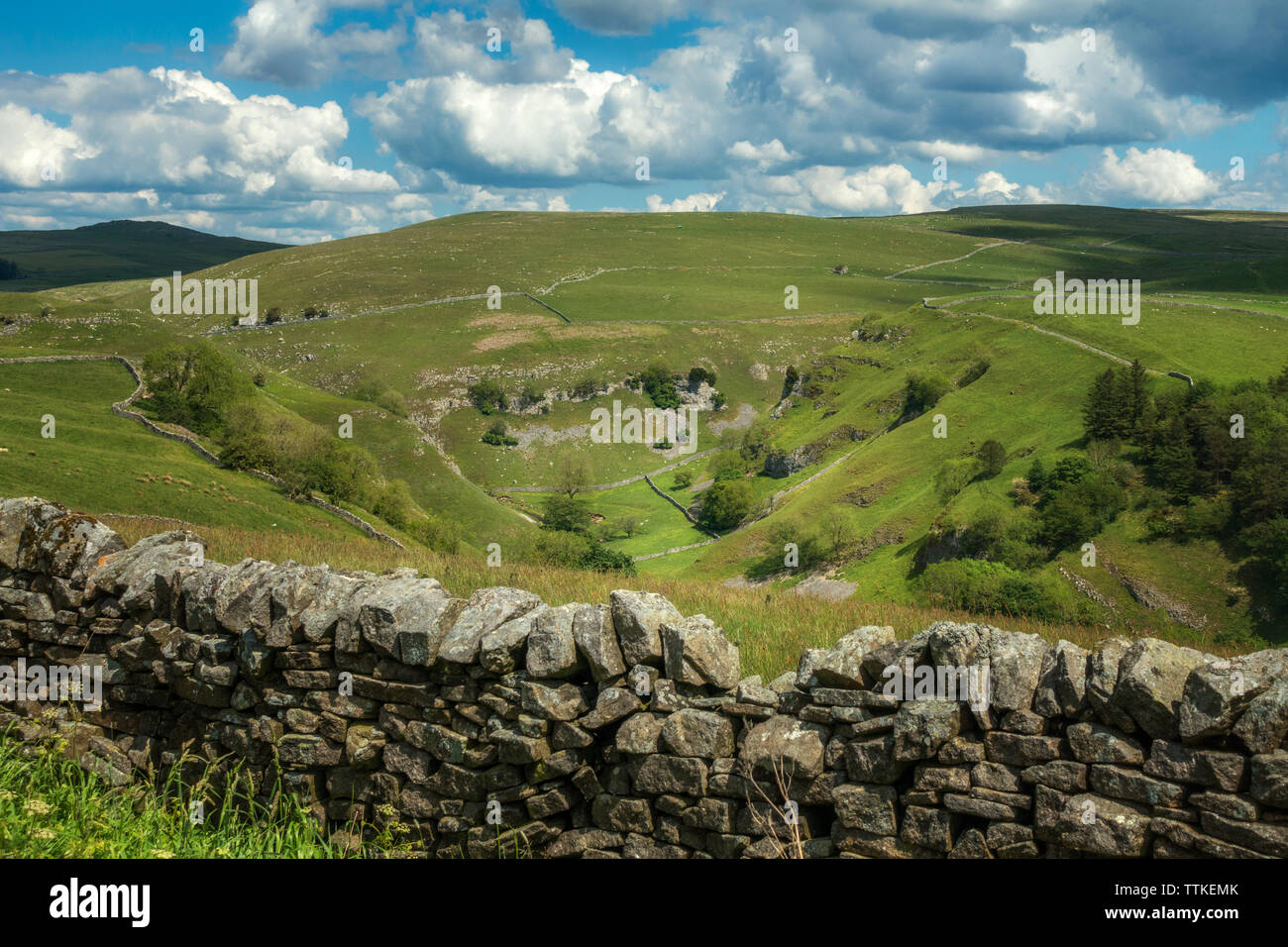 Die atemberaubende Aussicht auf die schöne Spaziergang durch Troller von Gill und Trollersdale von der Straße oben Skyreholme in der Nähe von Appletreewick, Yorkshire Dales Stockfoto