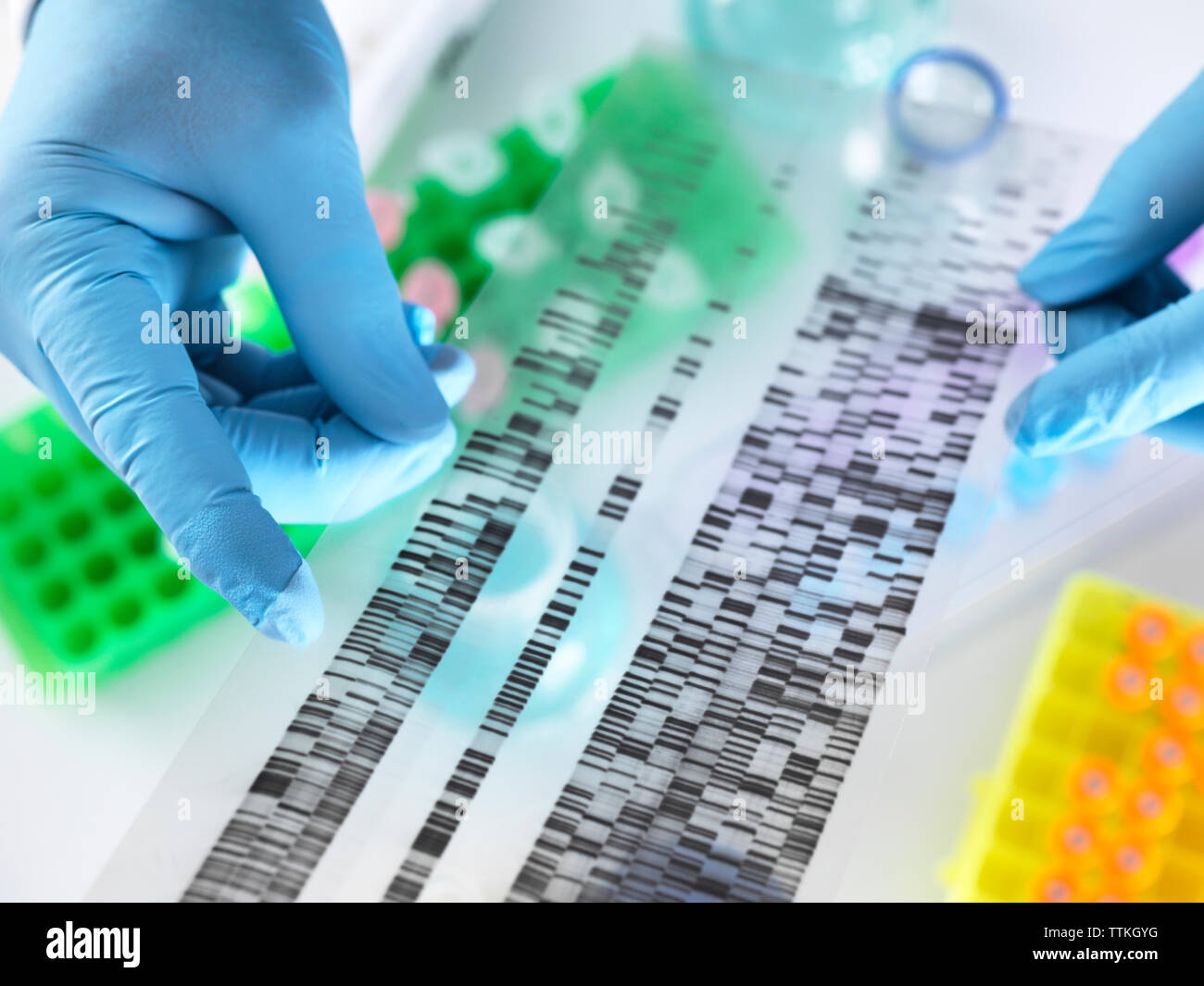 7/8 Hände der Wissenschaftler DNA-Gel während der Arbeit im Labor Stockfoto