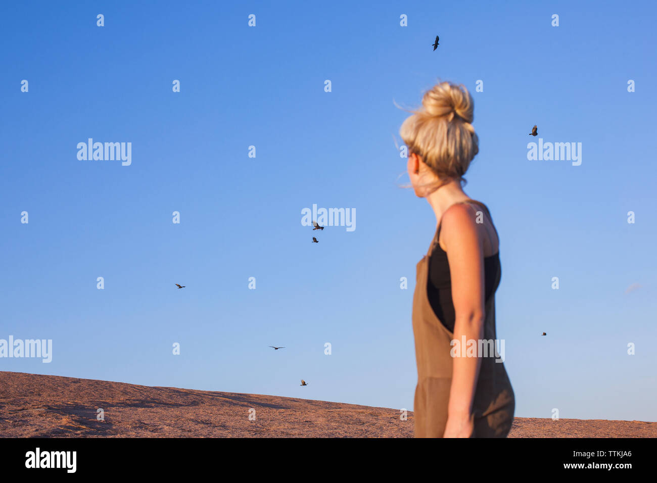 Seitenansicht der Frau beobachten Vögel gegen den klaren blauen Himmel fliegen Stockfoto