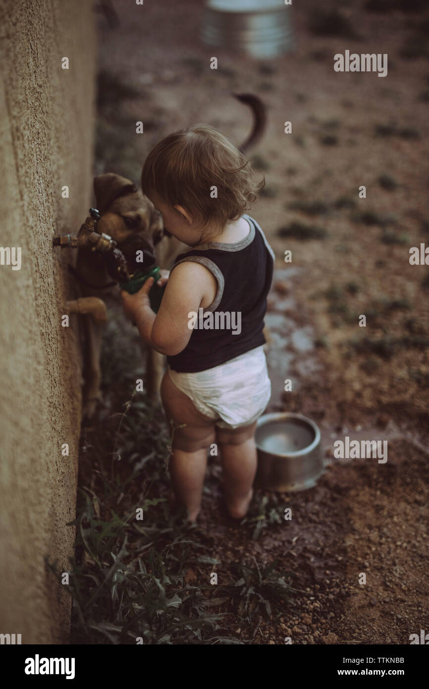 Hohe Betrachtungswinkel und der Boy, Wasser zu Hund aus Wasserhahn halten Schale Stockfoto