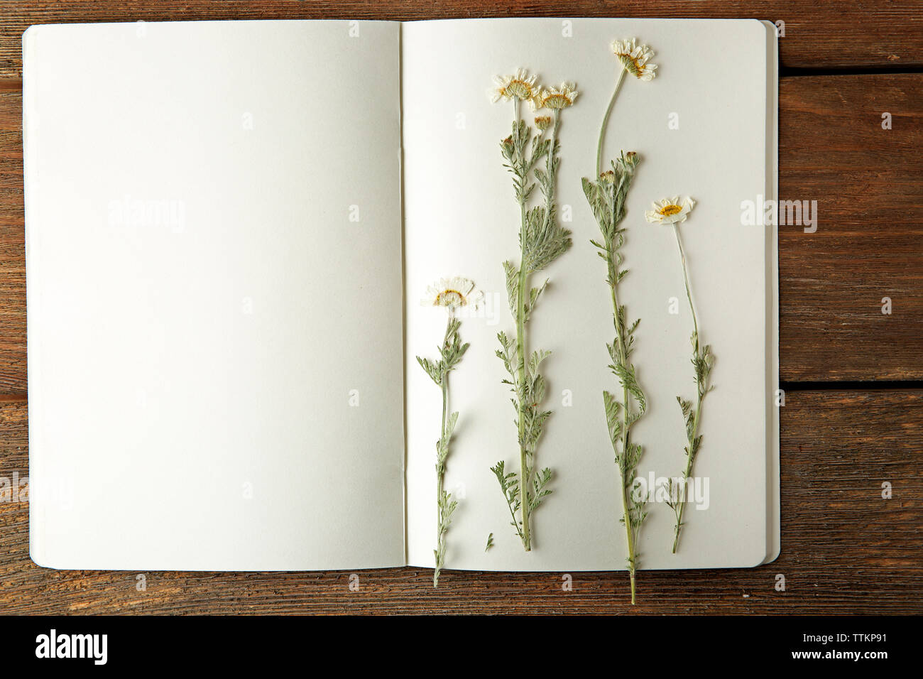 Schöne getrocknete Blüten im Notebook auf hölzernen Hintergrund Stockfoto