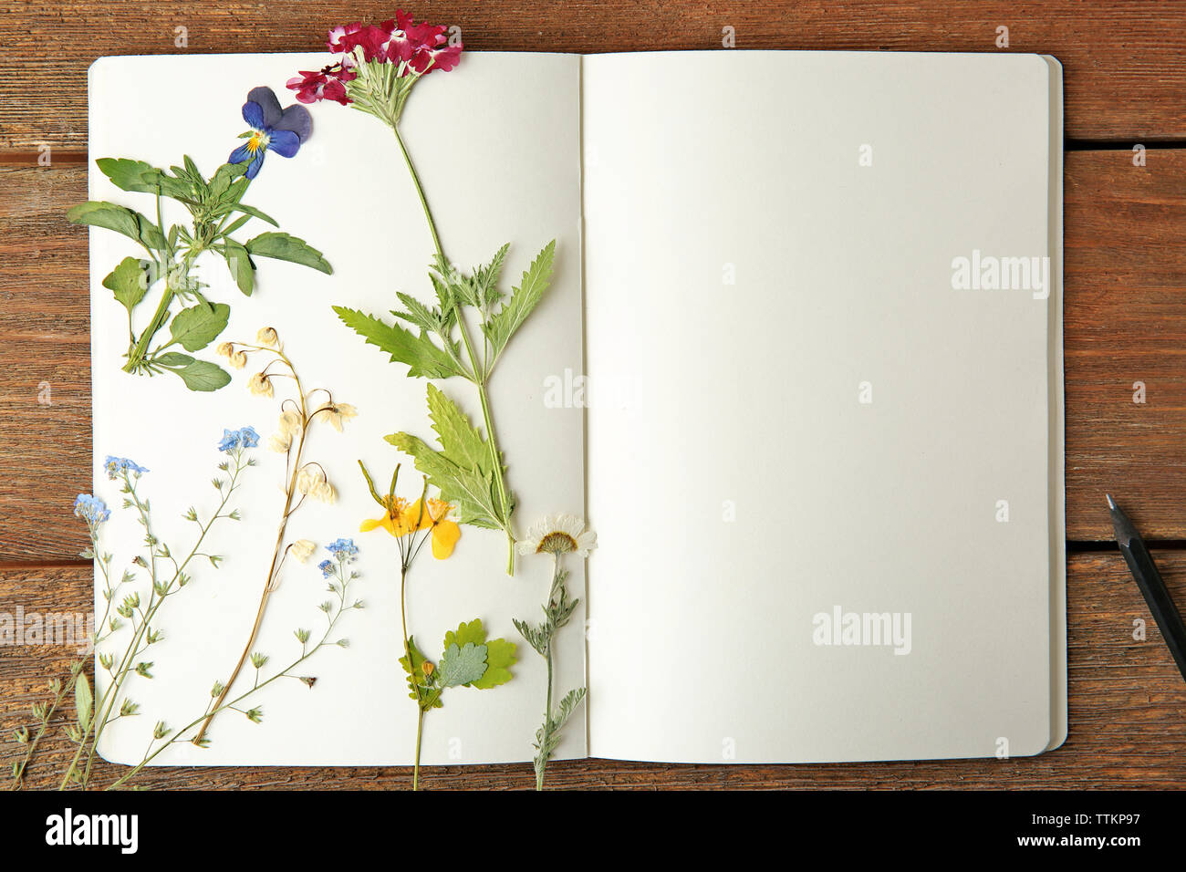 Schöne getrocknete Blumen in Notebook auf hölzernen Hintergrund Stockfoto