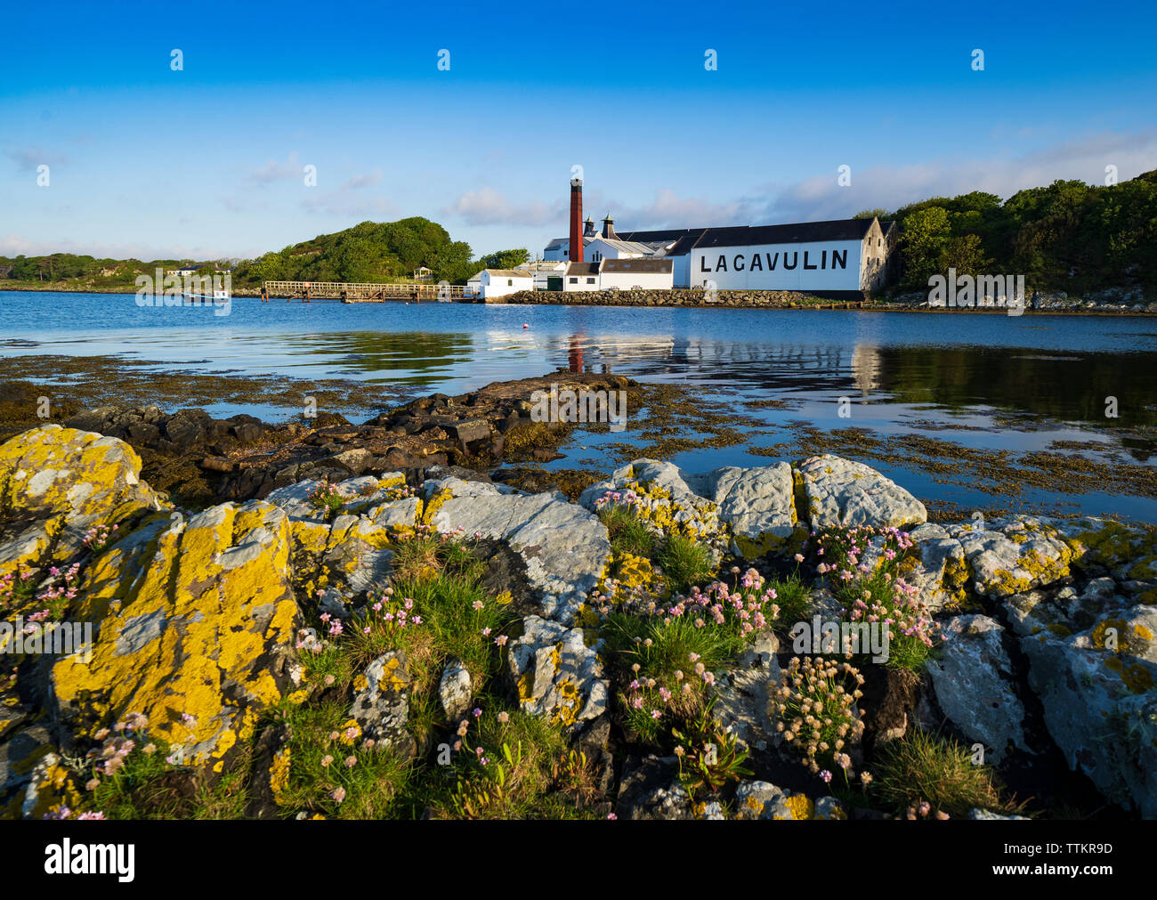 Ansicht der Lagavulin Distillery auf der Insel Islay im Inneren Hebriden von Schottland, Großbritannien Stockfoto