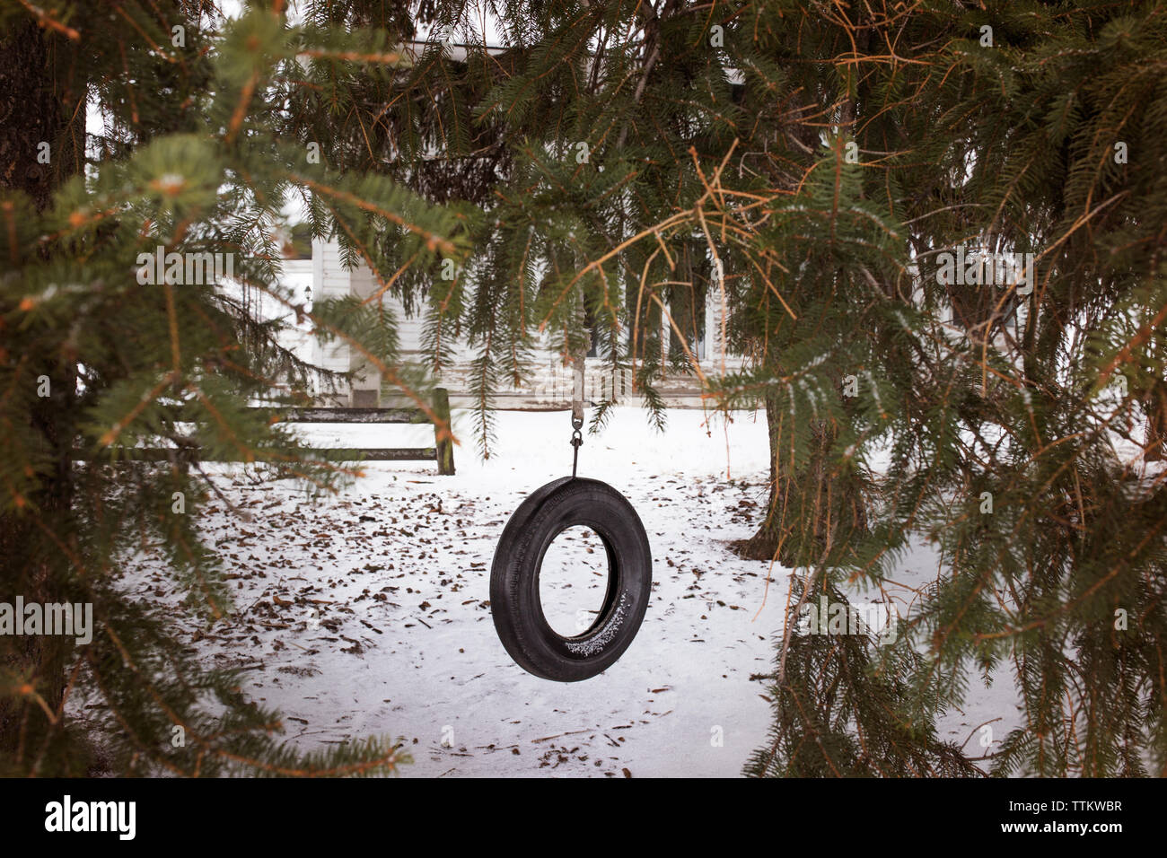 Reifen schwingen hängen von Baum am Spielplatz Stockfoto