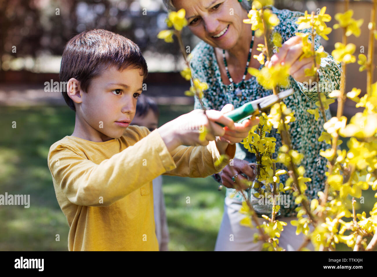Gerne ältere Frau an Enkel clipping Blumen auf Rasen auf der Suche Stockfoto