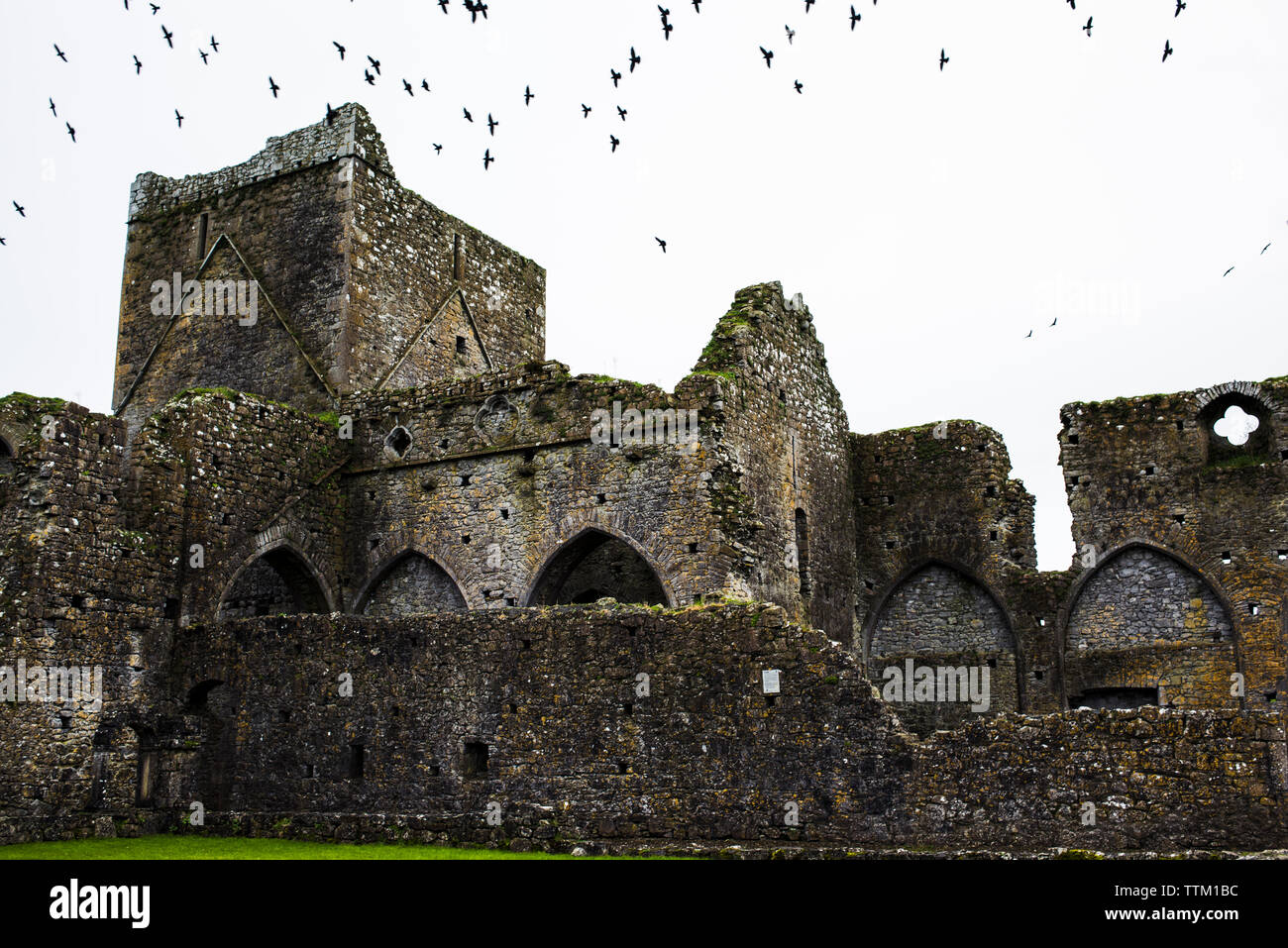 Low Angle View der Vögel über die alten, verlassenen Burg Stockfoto