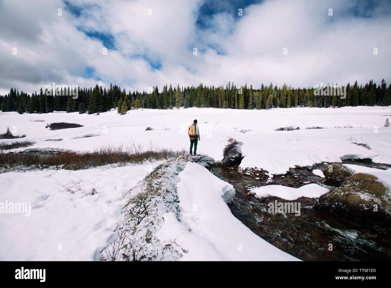 Ansicht der Rückseite des Mann stand auf schneebedeckten Feld gegen bewölkter Himmel Stockfoto