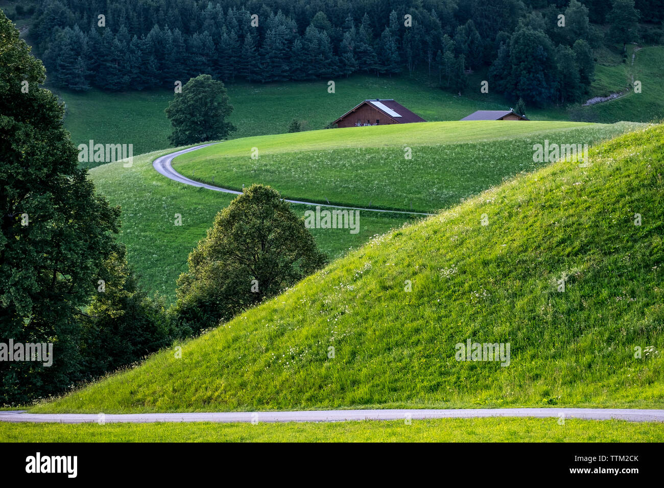 Malerischer Blick auf grüne Hügel Stockfoto