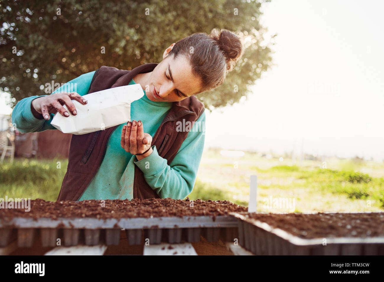 Frau gießen Samen aus Paket bei der Gartenarbeit im Feld Stockfoto
