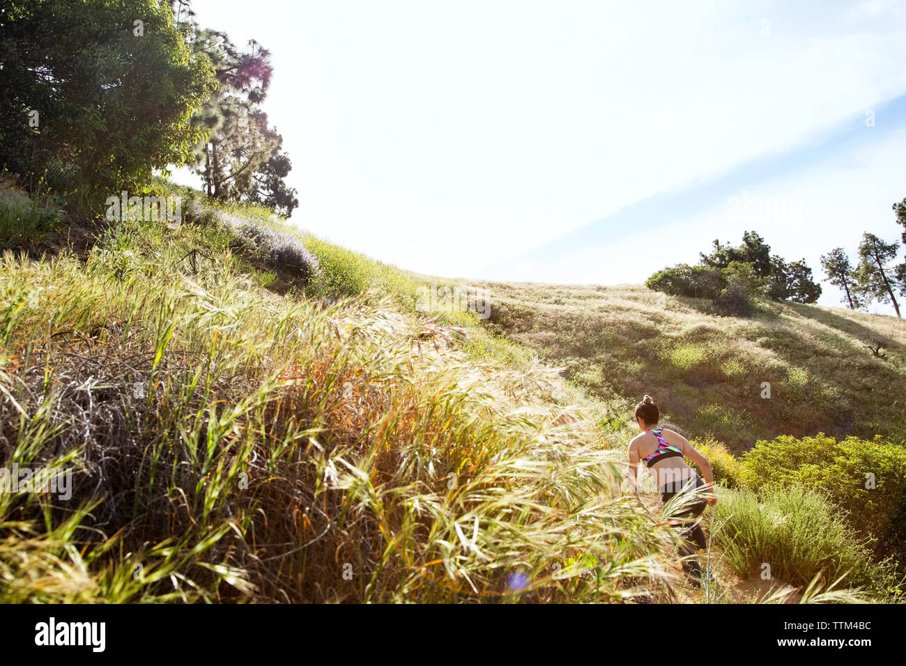 Ansicht der Rückseite Frau Kletterhügel Stockfoto