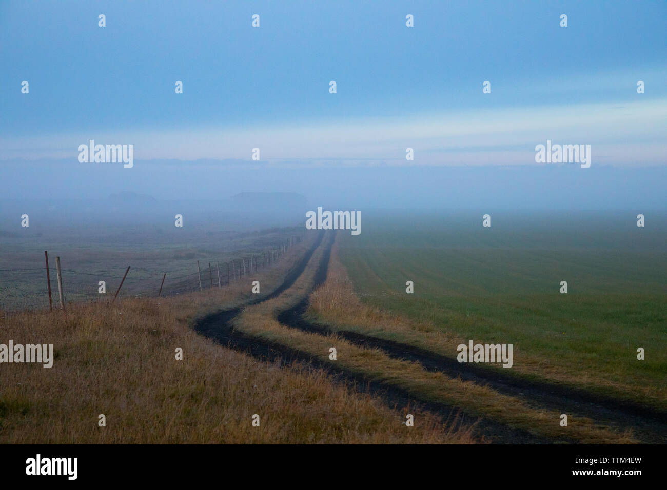 Morgen Nebel Blick auf Landstraße durch Felder in Island Stockfoto