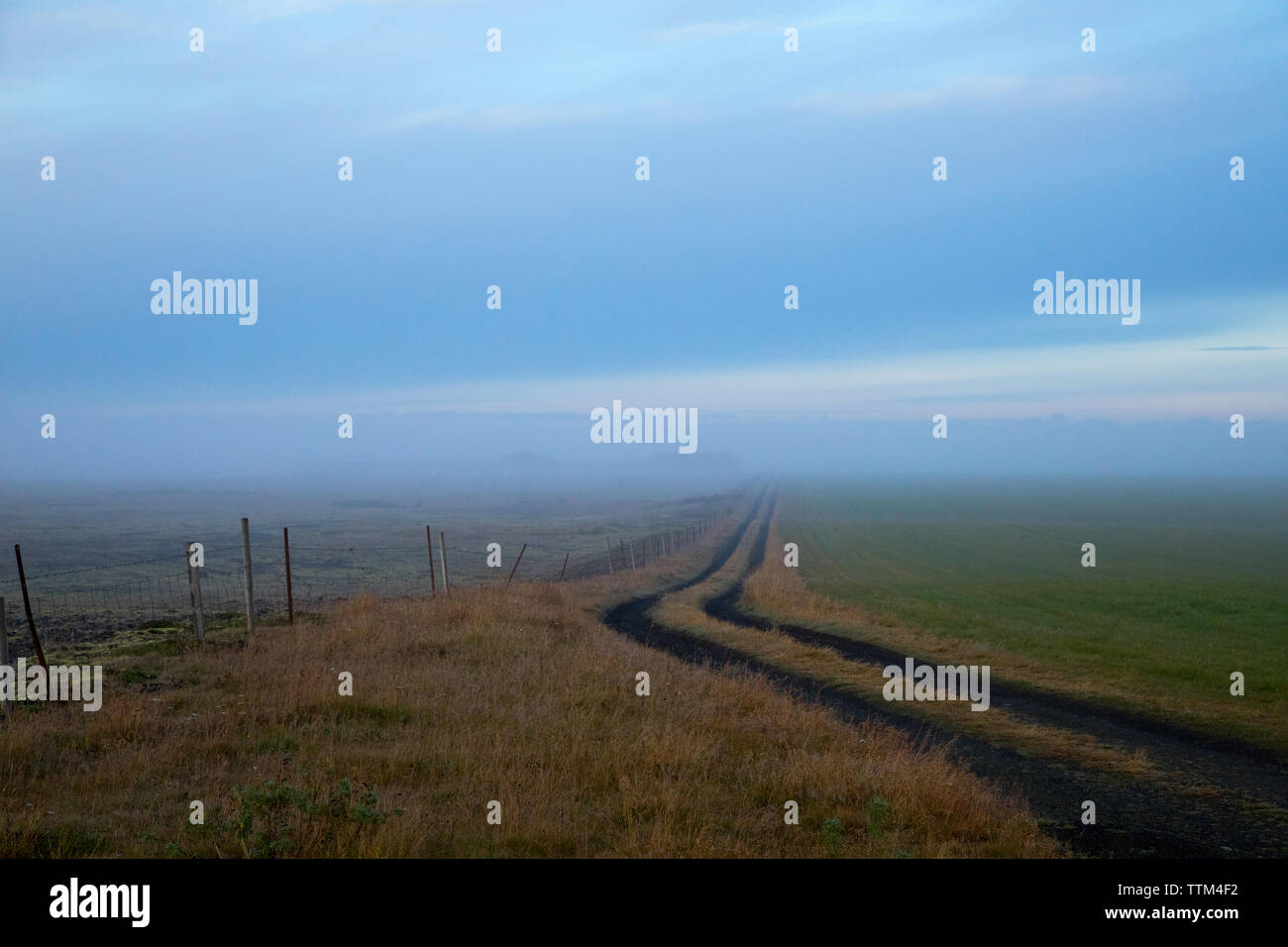 Morgen Nebel über Landstraße durch Felder in Island Stockfoto