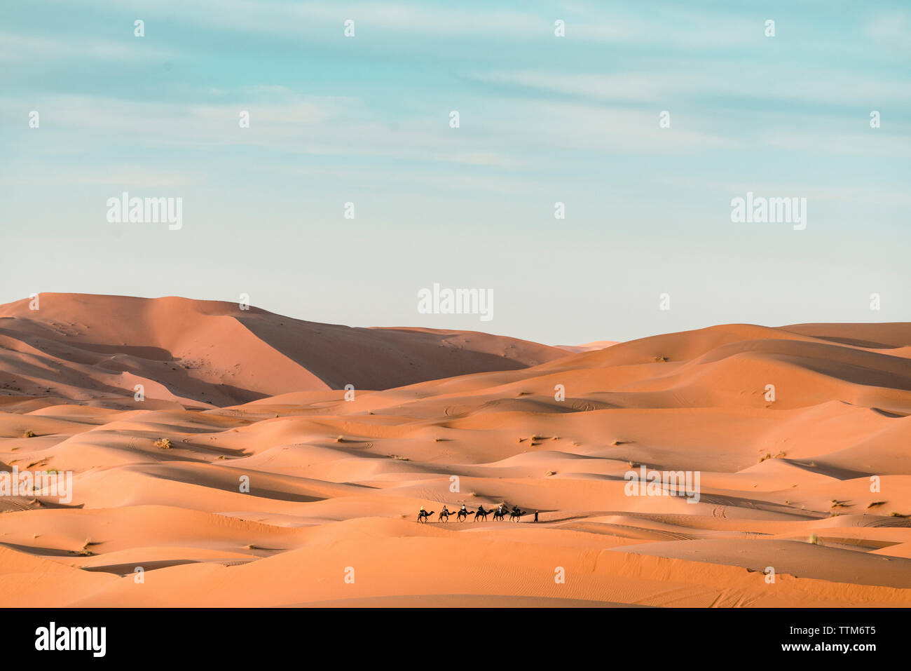 Menschen mit Kamelen bei Merzouga Wüste gegen Sky Stockfoto