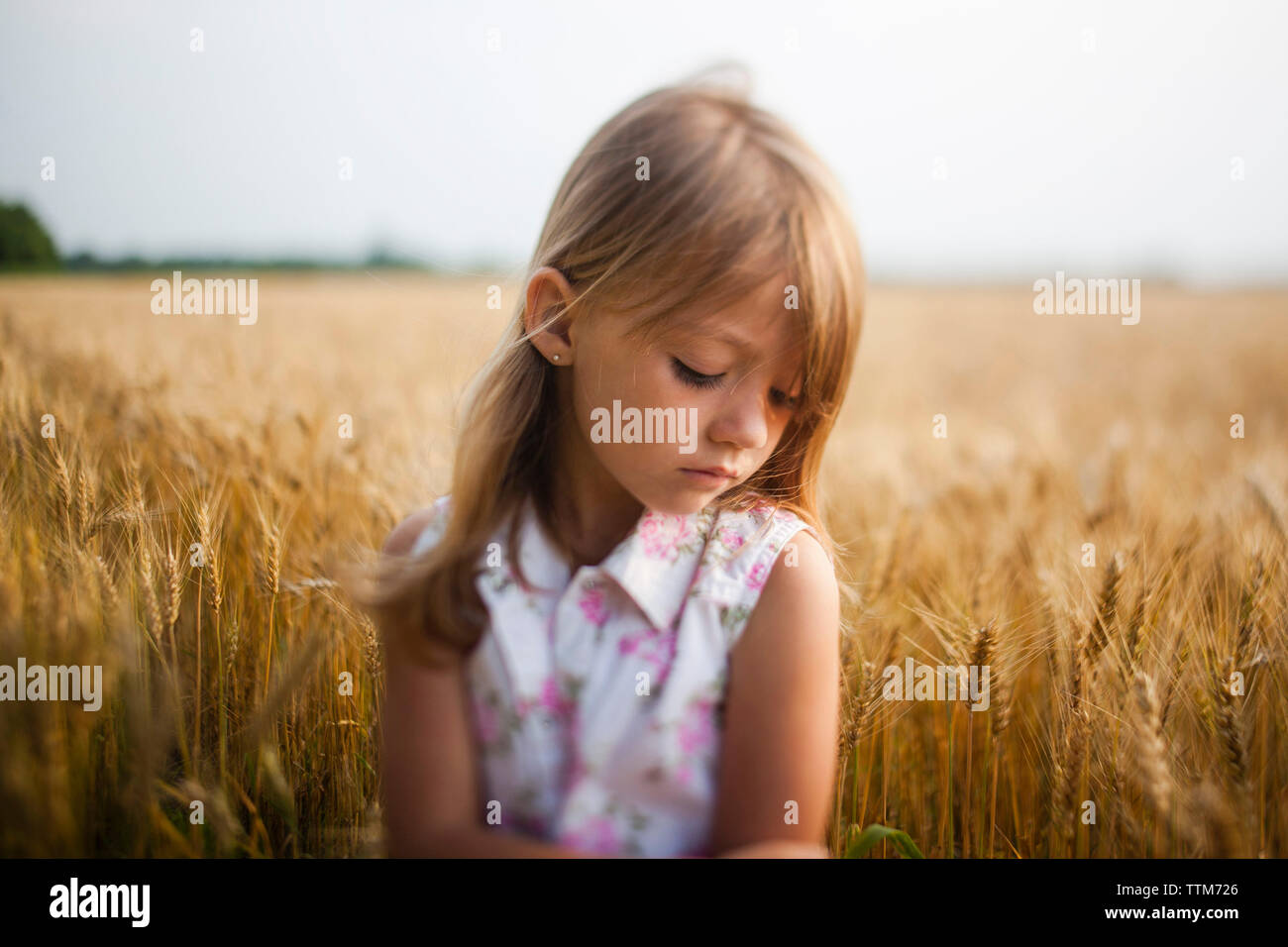 Verärgert stehendes Mädchen gegen Himmel in Farm Stockfoto