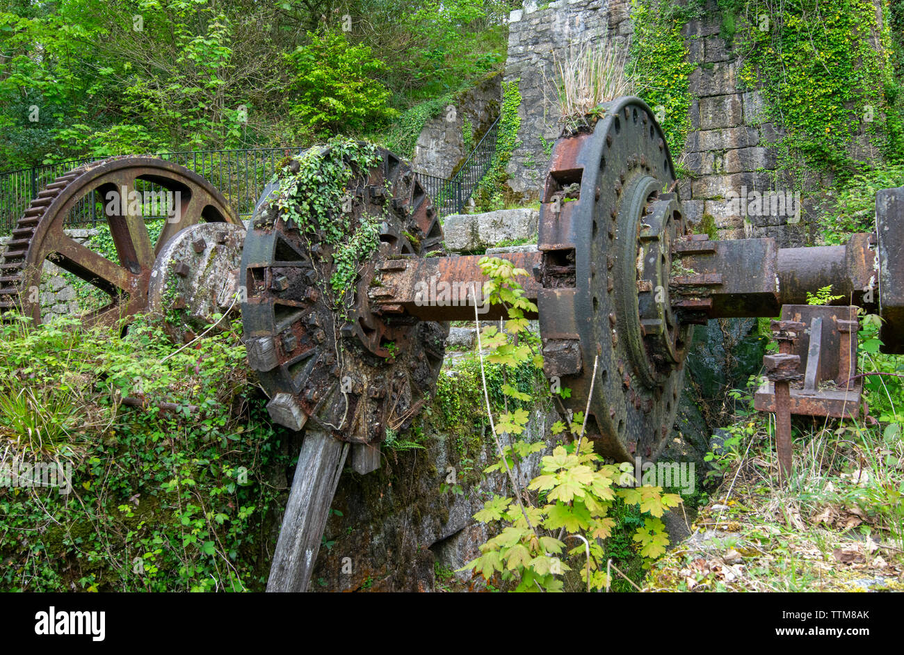 Alte Maschinen und Industriellen des 19. Jahrhunderts bleibt in der Luxulyan Tal in Cornwall, England, Großbritannien Stockfoto