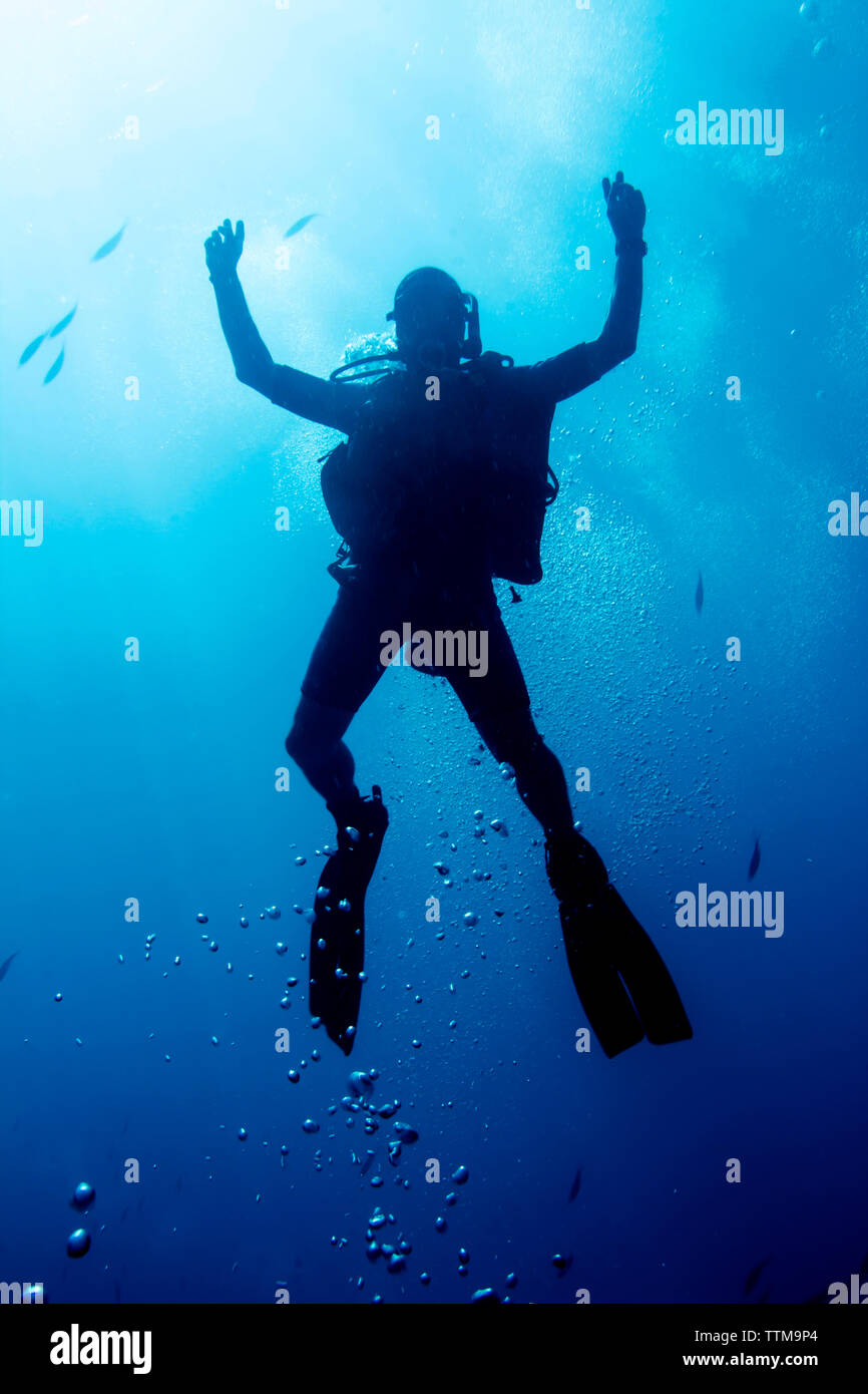 Scuba Diver Erkundung Meer Stockfoto