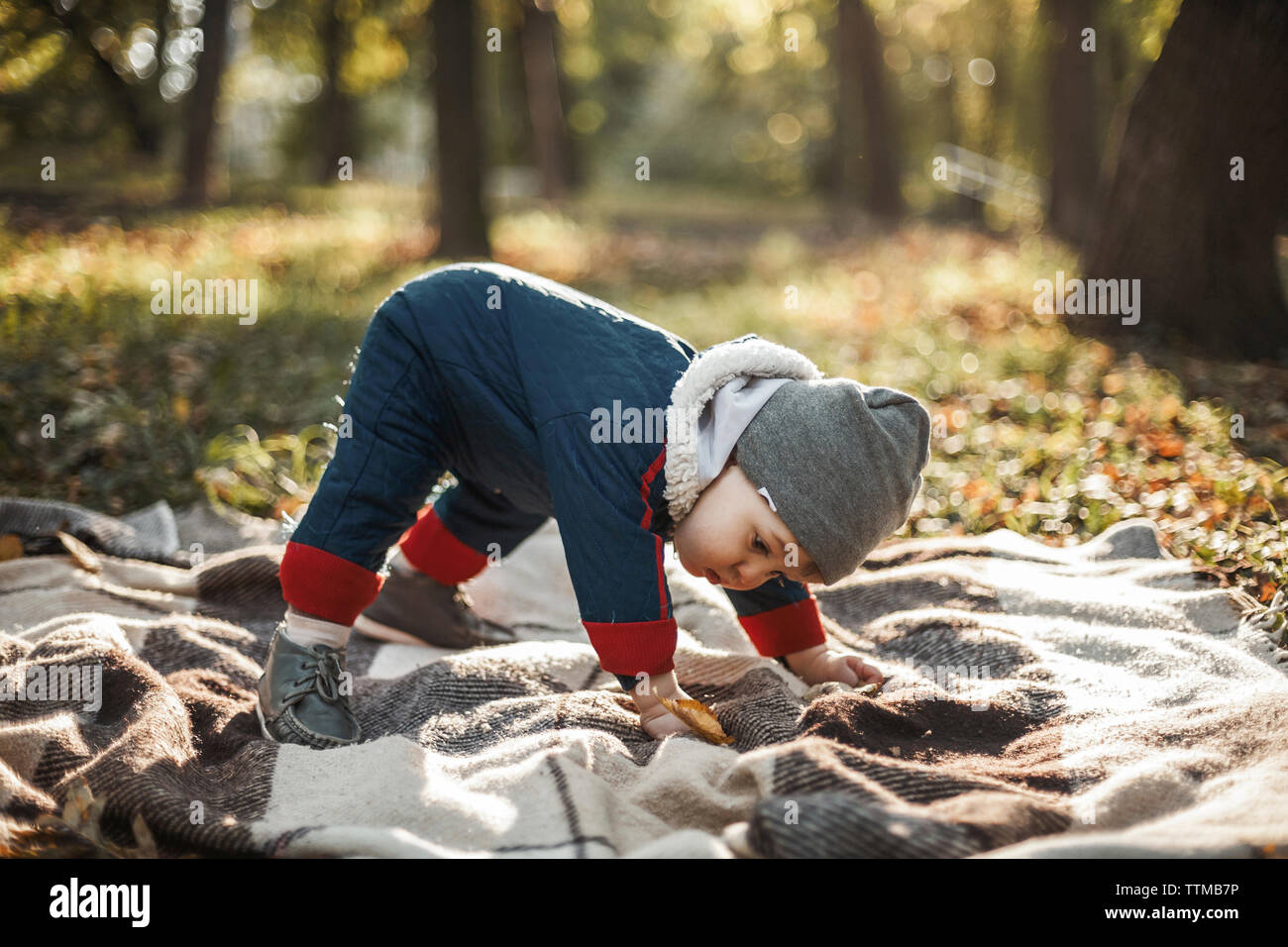 Volle Länge des niedlichen Baby Boy, die versuchen, auf der Picknickdecke im Park im Herbst zu stehen Stockfoto