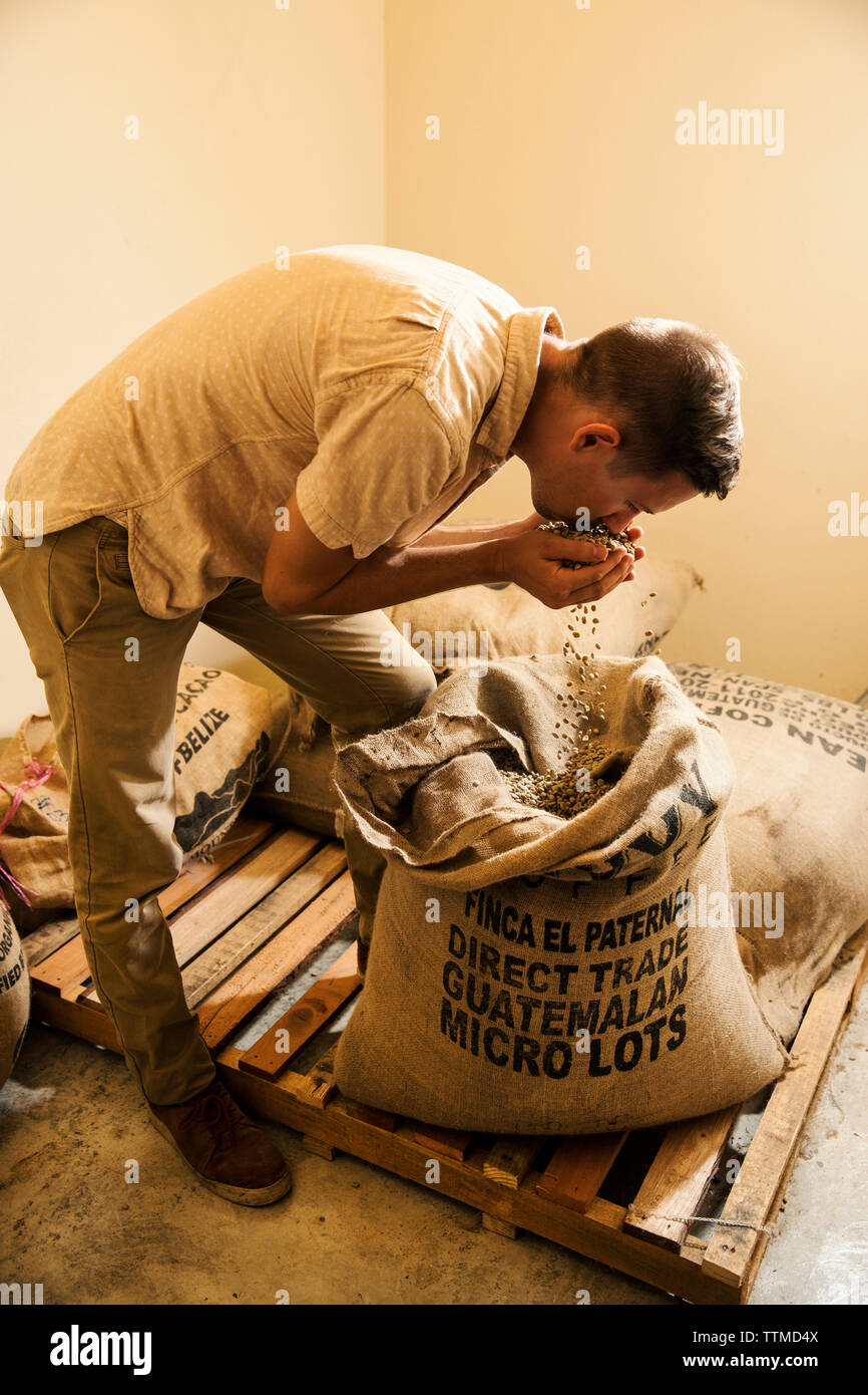 BELIZE, Punta Gorda, Toledo, entspannen Sie sich in der Bohne in die Tasse Werkstatt, wo Sie die Kaffeepflanze tour du teilnehmen, und der Prozess, in dem dargestellt werden. Stockfoto