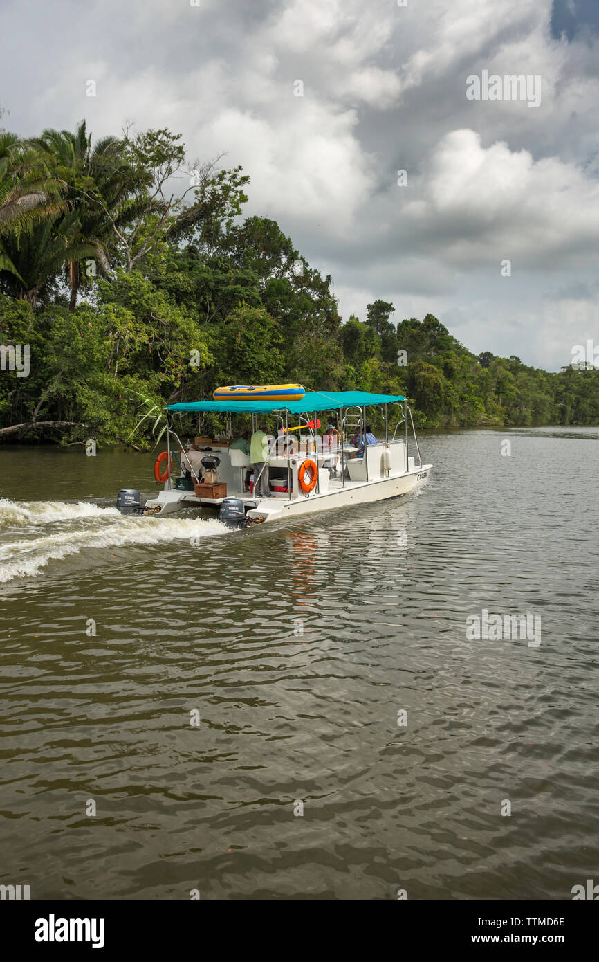 BELIZE, Punta Gorda, Toledo, Angeln auf ihre Weise gehen Sie schnorcheln, alle von den Guides Lokale sind in den südlichen Belize Regio Stockfoto