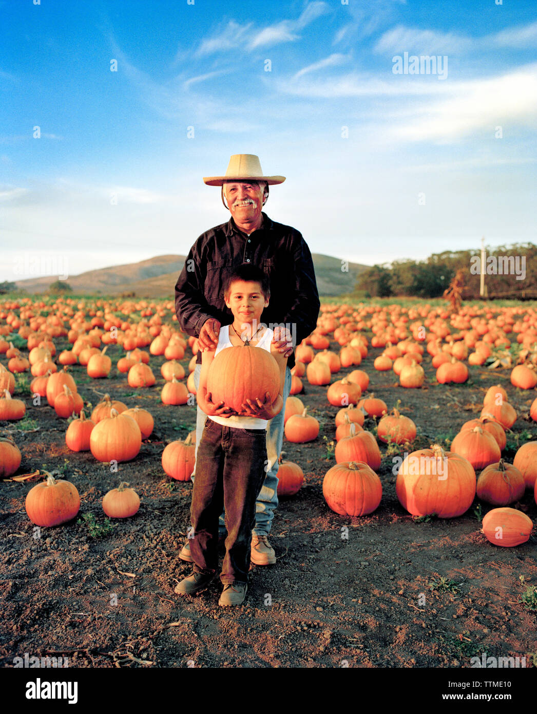 USA, Kalifornien, älterer Mann, der mit seinem Enkel in ein kürbisfeld, Half Moon Bay, Bob's Kürbis Farm Stockfoto