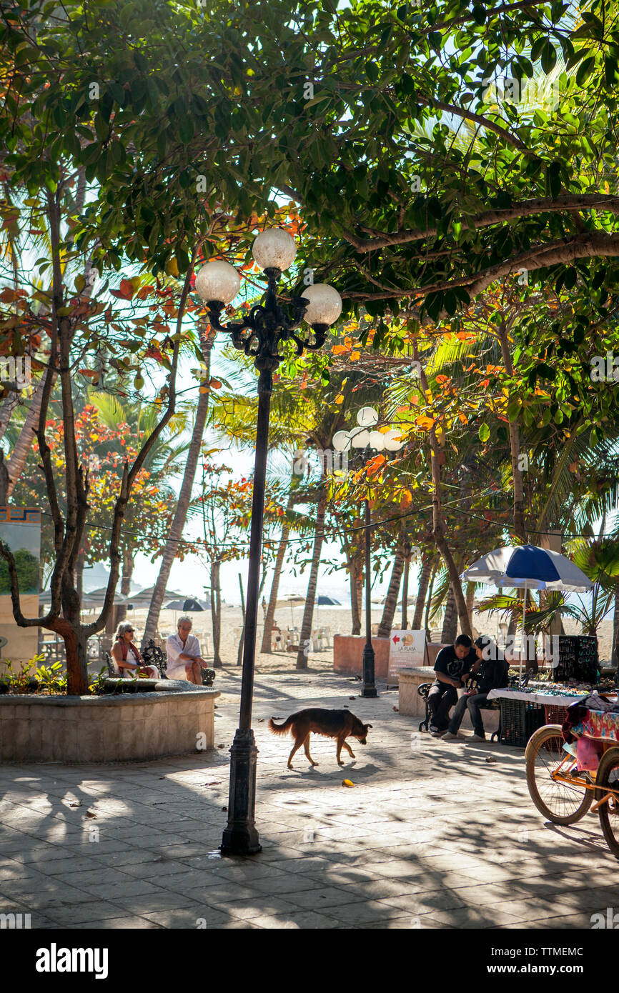 Mexiko, San Pancho, San Francisco, Personen sitzen und an einem Park in der Nähe von San Pancho Strand sprechen Stockfoto
