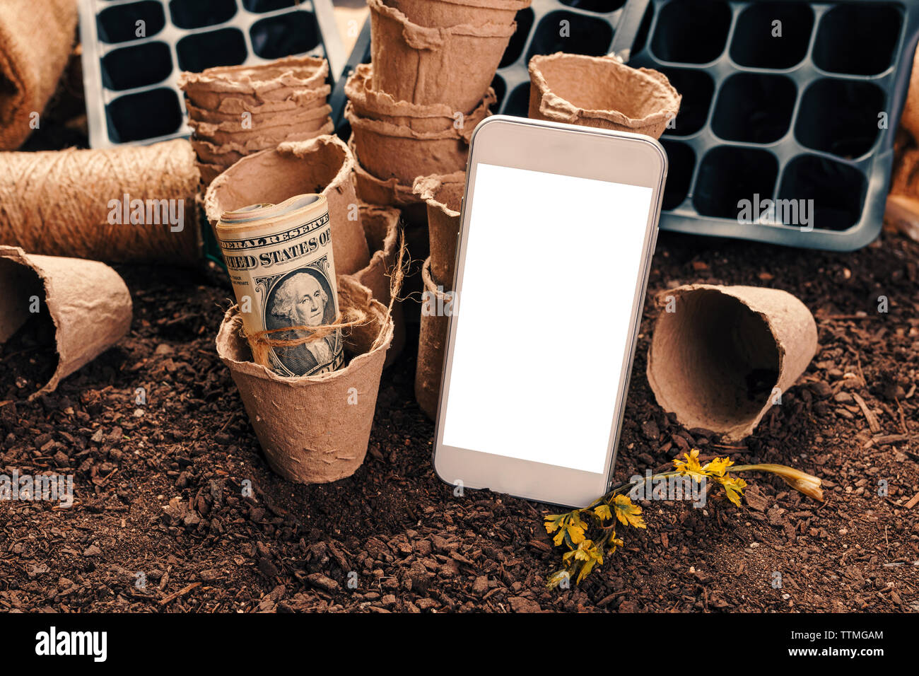 Smartphone mock up für den ökologischen Landbau Konzept, modernes Mobiltelefon Gerät mit Rollen von US Dollar Banknoten in biologisch abbaubaren Karton Topf Boden contai Stockfoto
