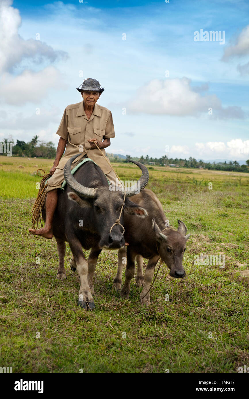 Philippinen, Palawan, Barangay, Abongan Dorf im Bezirk Barangay, ein Ältester Landwirt Ingo Barreto reitet seine Buffalo Stockfoto