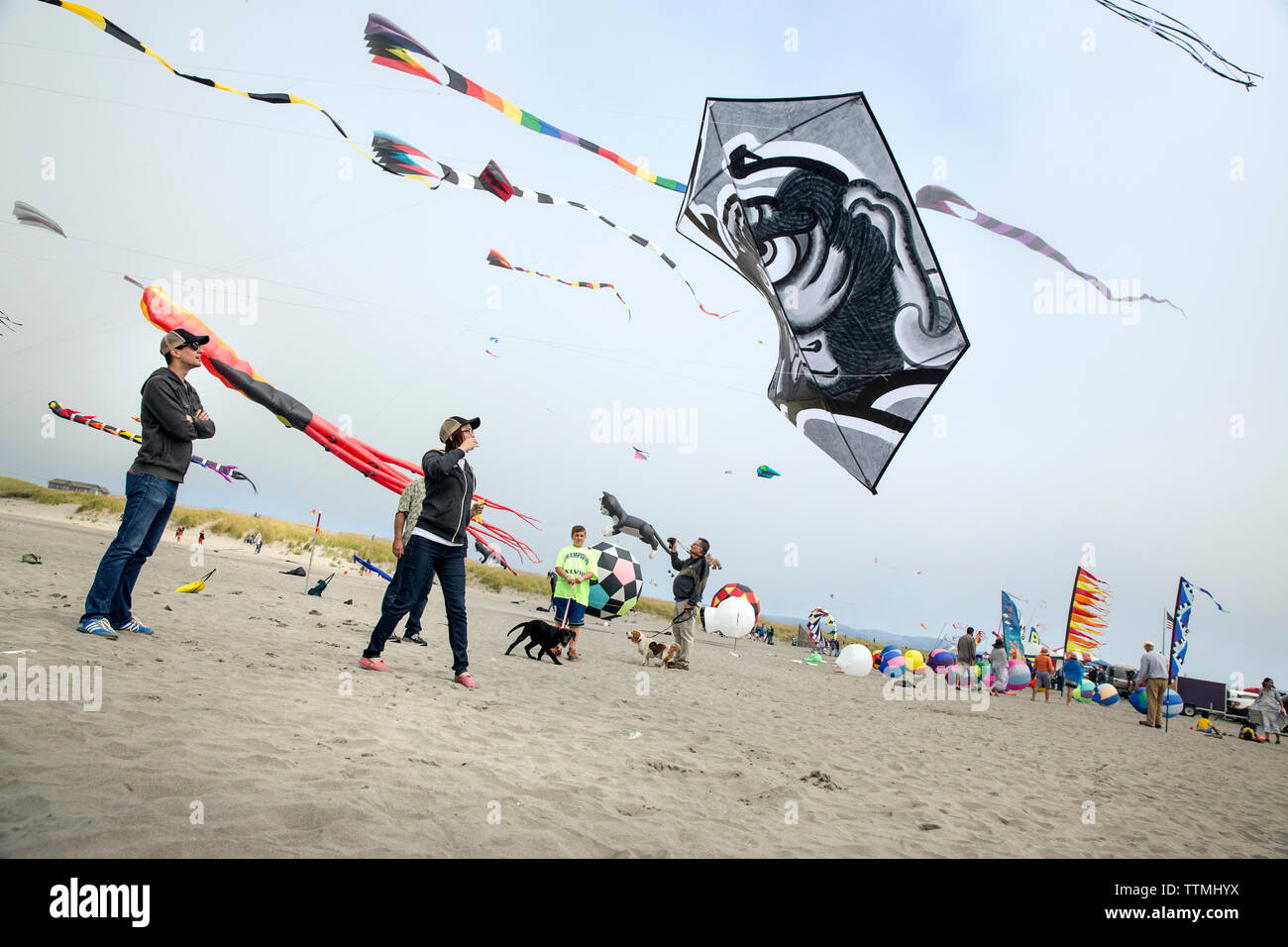 USA, Washington State, Long Beach Halbinsel, internationale Drachenfest, Paar starten eine große, schwarze und weiße im japanischen Stil Kite Stockfoto