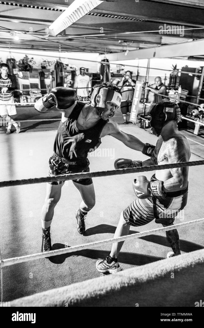 USA, Oahu, Hawaii, MMA Mixed Martial Arts Ultimate Fighter Lowen Tynanes Züge und spieren an seiner Turnhalle in Honolulu, B&W Stockfoto