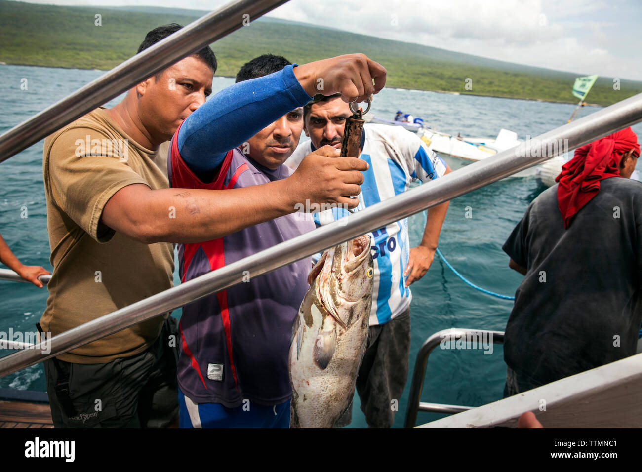 GALAPAGOS, Ecuador, die lokalen Fischer verkaufen Fische an die M/C Ocean Spray Stockfoto