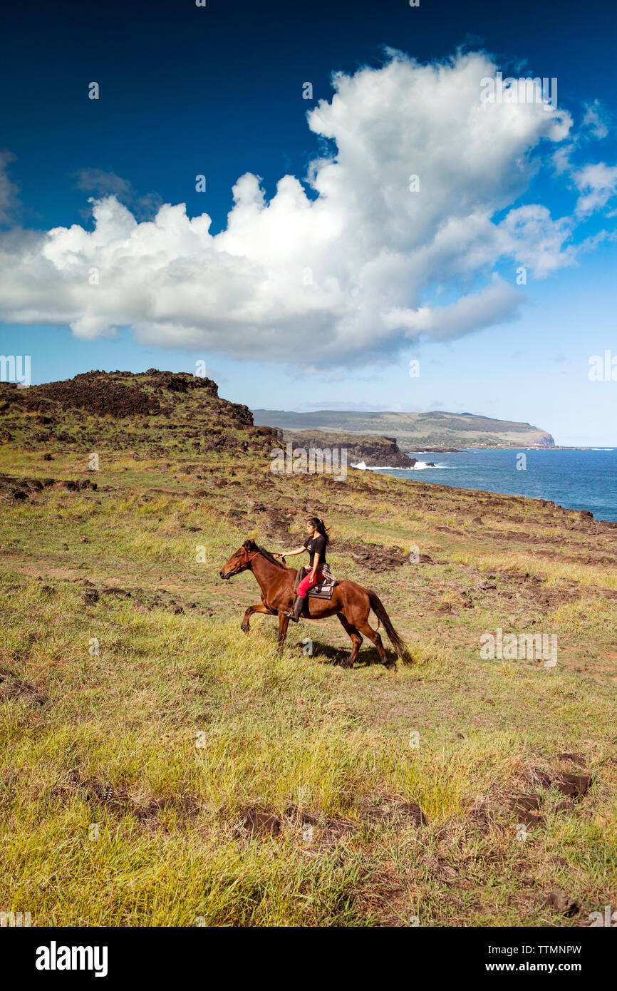 osterinsel, CHILE, Isla de Pascua, Rapa Nui, reiten Sie zu Pferd entlang der Hügel in der Nähe von Ana KaKenga und der Höhle mit zwei Fenstern Stockfoto